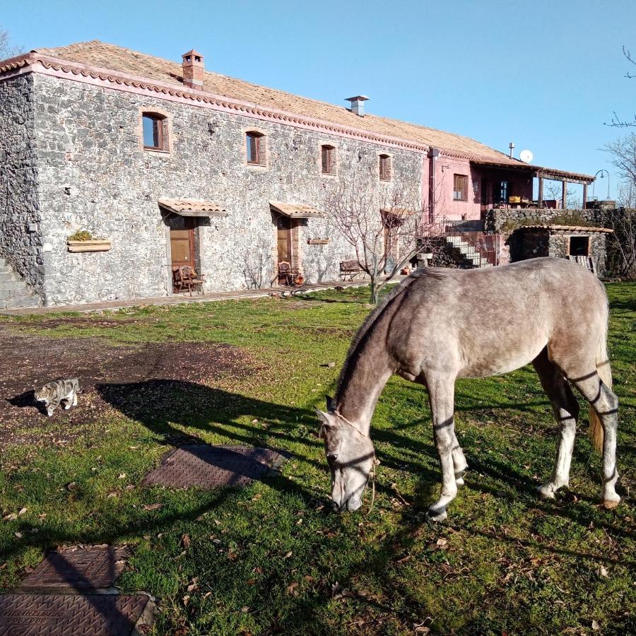 Farm stay La Caraffara Sull' Etna *