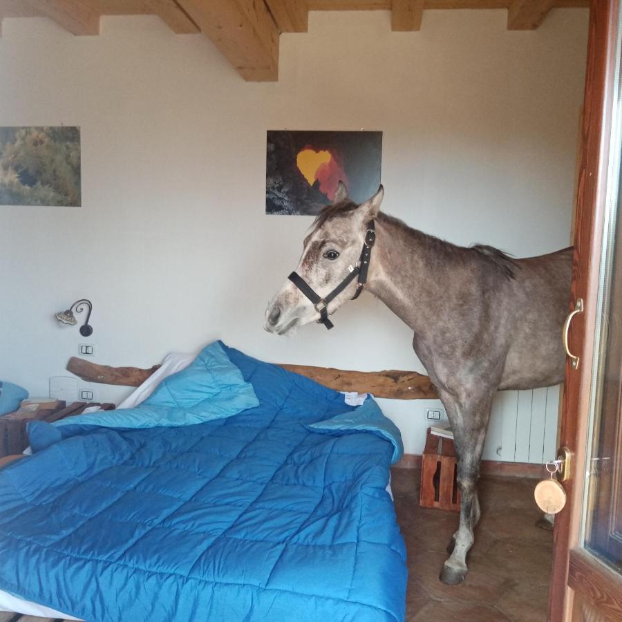 La Caraffara Sull' Etna Farm stay