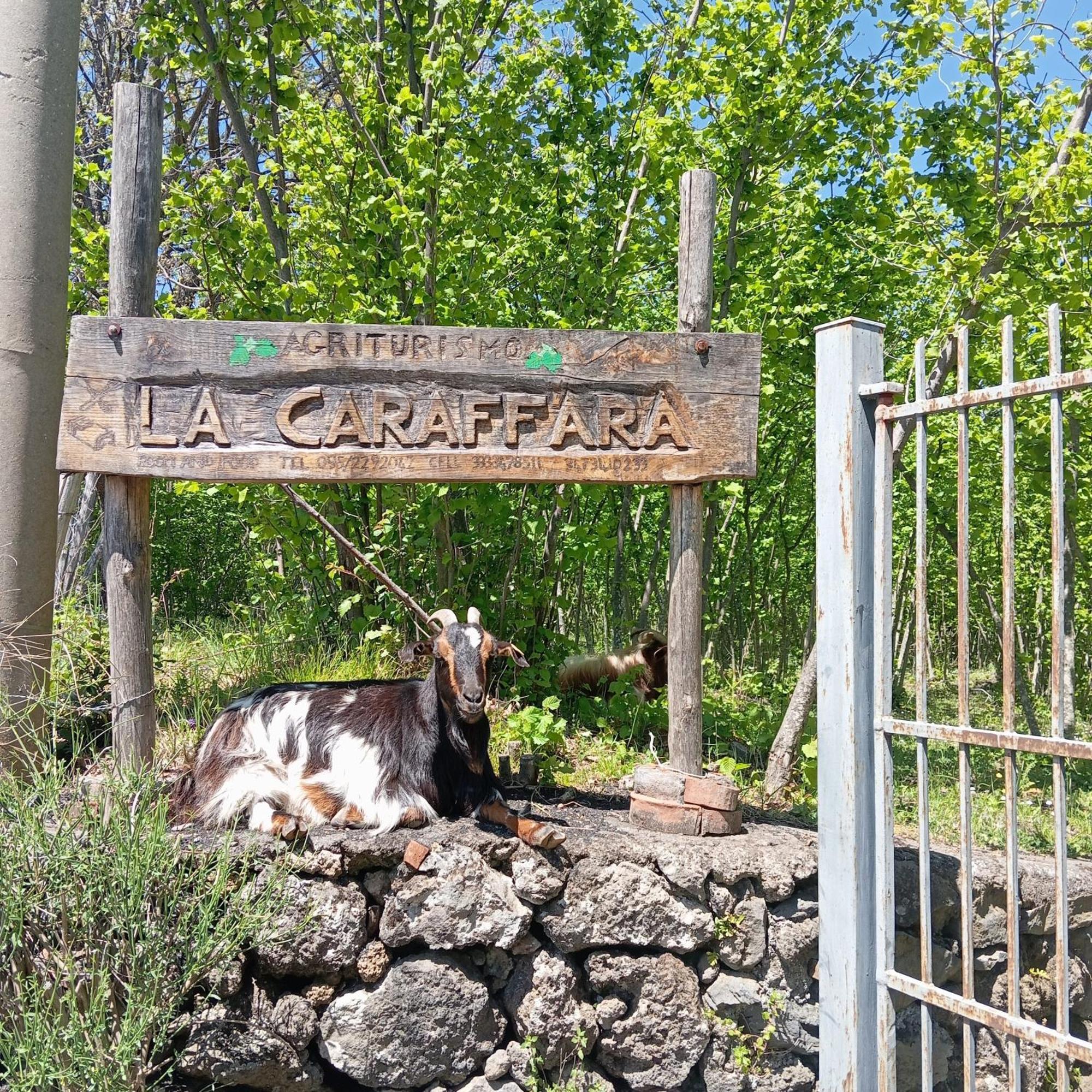 La Caraffara Sull' Etna Puntalazzo