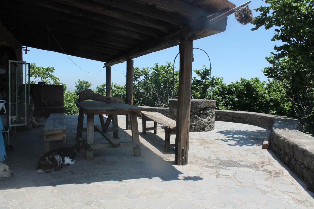 Farm stay La Caraffara Sull' Etna