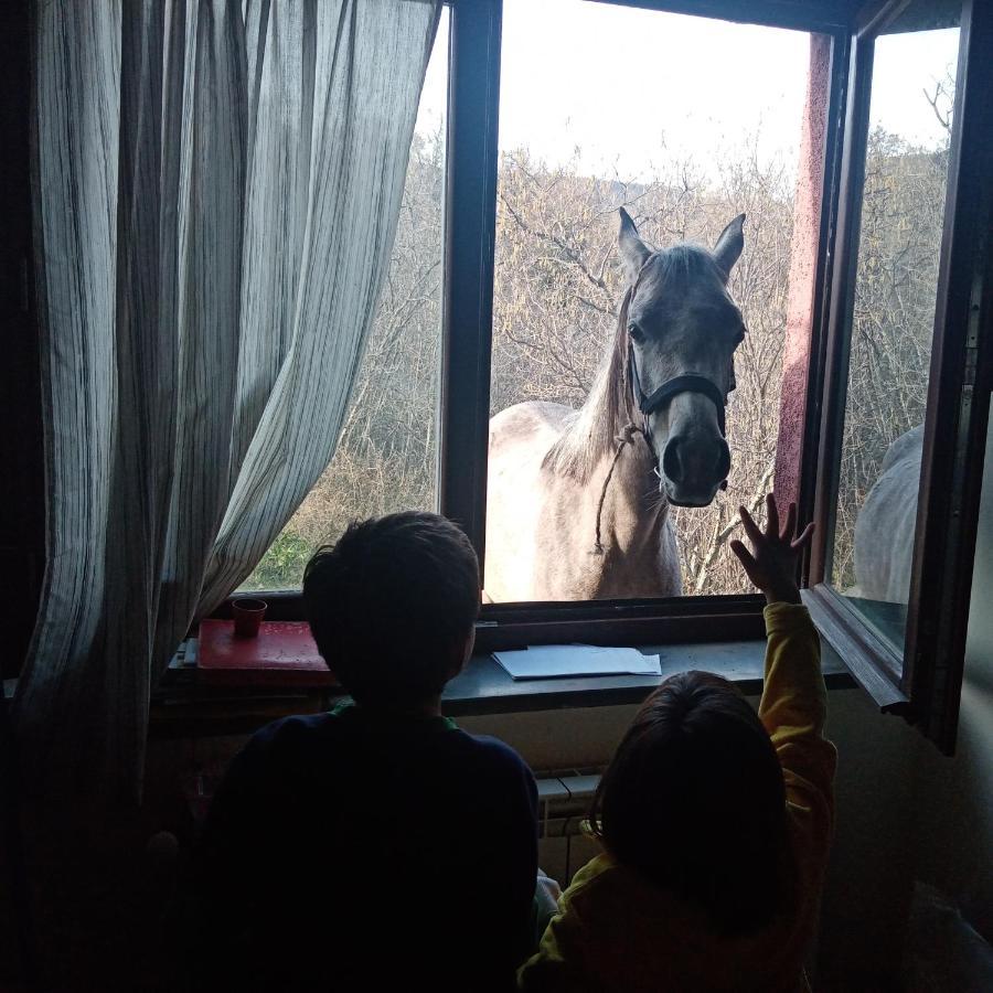 La Caraffara Sull' Etna * Puntalazzo