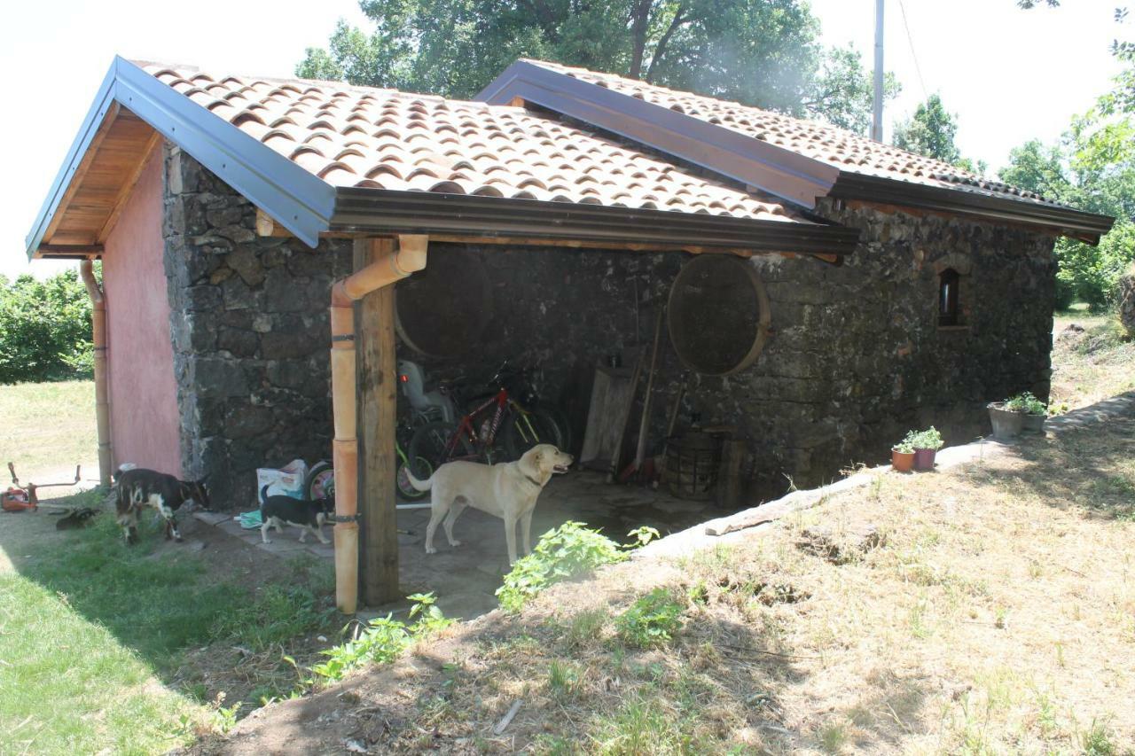 La Caraffara Sull' Etna *